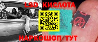 ГАЛЛЮЦИНОГЕННЫЕ ГРИБЫ Кингисепп