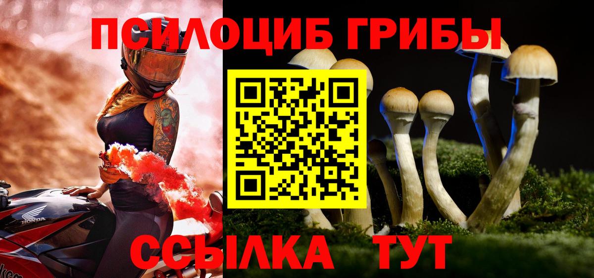 Галлюциногенные грибы Cubensis  Вход с VPN  Псилоцибиновые грибы ЛСД  Тихвин 